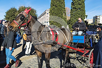 Horse carriage for tourists in Rome, Italy Editorial Stock Photo