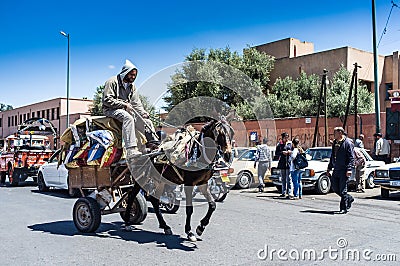 Horse and Cart (Marrkech Street) Editorial Stock Photo