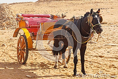 Horse chariot in desert Stock Photo