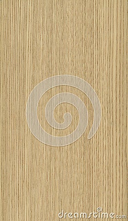 Horse chesnut wood veneer texture Stock Photo