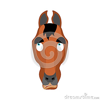 Horse confused oops. Steed perplexed emotions. hoss surprise. Vector illustration Vector Illustration