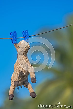 Horse doll hanging on a wire Stock Photo