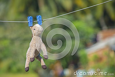 Horse doll hanging on a wire Stock Photo