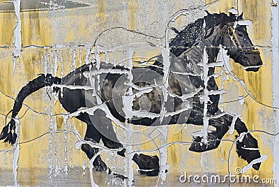 Horse drawing on the old wall, picture, background Editorial Stock Photo