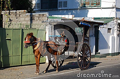 Horse-drawn calash or kalesa in Vigan City, Ilocos Sur, Philippines Editorial Stock Photo