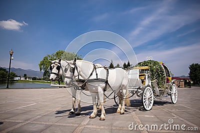Horse drawn carriage Stock Photo