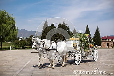 Horse drawn carriage Stock Photo