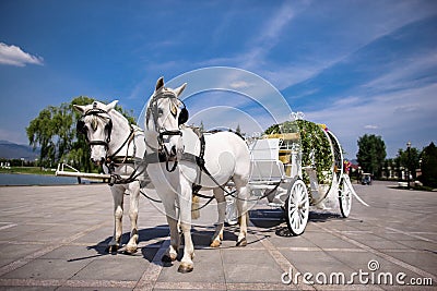 Horse drawn carriage Stock Photo