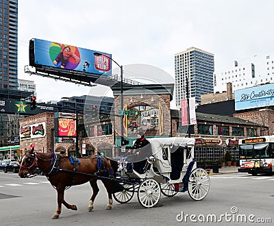 A Horse-drawn Carriage in Chicago Editorial Stock Photo