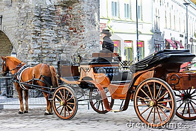 Horse-drawn carriage Editorial Stock Photo