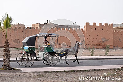 Horse drawn carriage in front of the city wall of Taroudant, Morocco Editorial Stock Photo