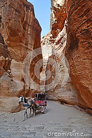 Horse carriage in a gorge. Petra, Jordan Editorial Stock Photo