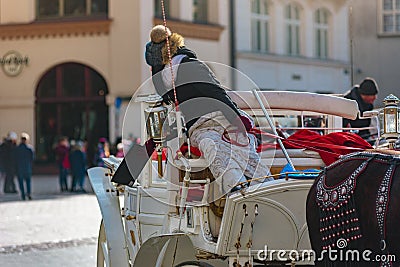 Horse-drawn carriage tour Editorial Stock Photo
