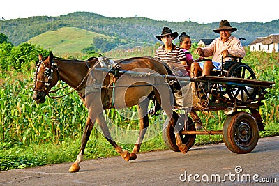 Horse-Drawn Carriage in Vinales Valley, Cuba Editorial Stock Photo