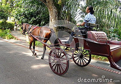 Horse drawn Open Carriage Stock Photo