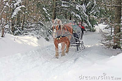 Horse drawn sleigh in Vermont winter snow Editorial Stock Photo