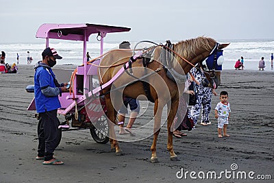 Horse-drawn waiting for passenger on parang tritis beach, Yogyakarta. Indonesian call it dokar, delman or andong Editorial Stock Photo