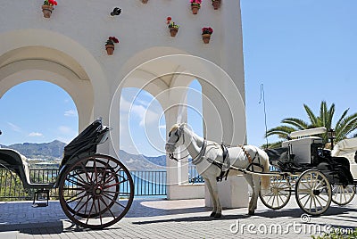 Horse driven carriage Stock Photo