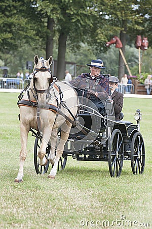 horse driving competition dressage Editorial Stock Photo