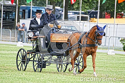horse driving competition dressage Editorial Stock Photo