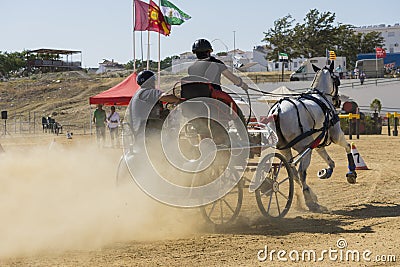 Horse driving trials Editorial Stock Photo