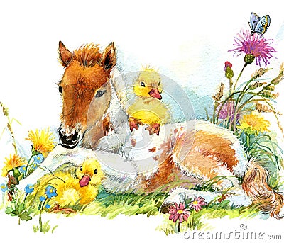 Horse and and ducklings. background with flower. illustration Cartoon Illustration