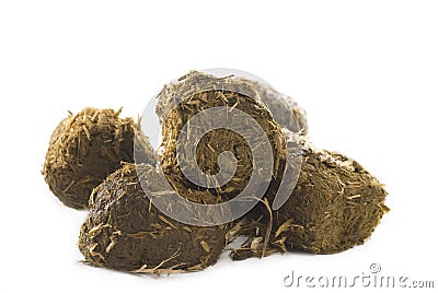 Horse Dung Stock Photo