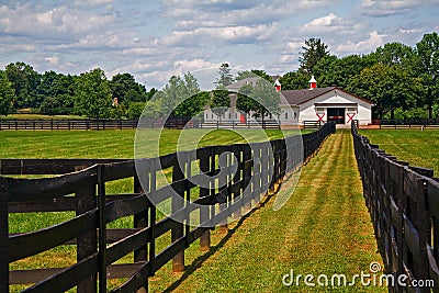 Horse Farm Stock Photo