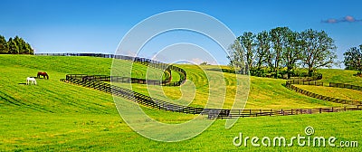 Horse farm fences Stock Photo