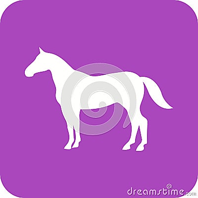 Horse Vector Illustration