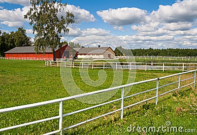 Horse farm Stock Photo