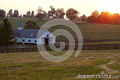 Horse Farm Sunset Stock Photo