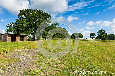 Horse farm Stock Photo