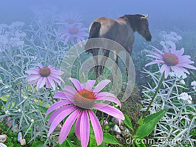 Horse, flowers, fog. Stock Photo