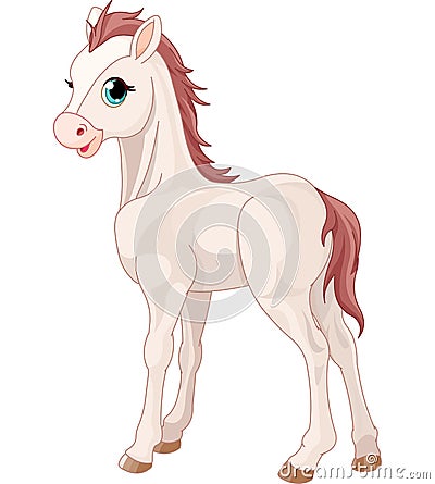 Horse foal Vector Illustration