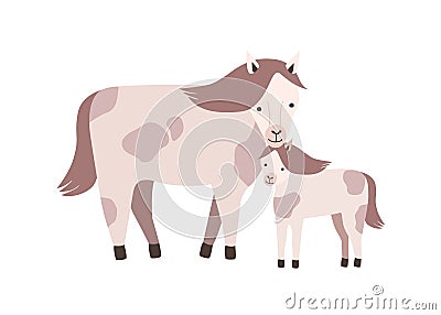 Horse and foal or colt isolated on white background. Family of wild or domestic herbivorous animals. Parent with Vector Illustration