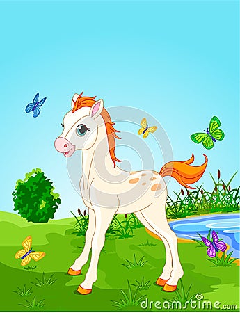 Horse foal in the meadow Vector Illustration