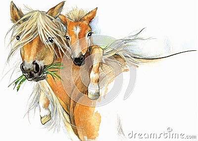 Horse and foal motherhood. background greetings illustration Cartoon Illustration