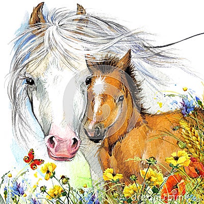 Horse and foal motherhood. background greetings illustration Cartoon Illustration