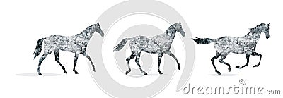 Horse gait, Three main gray horse gait: step, lynx, gallop. Stock Photo