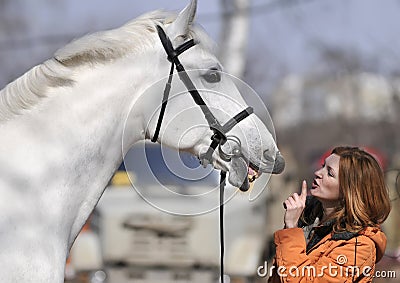 Horse with a girl Stock Photo