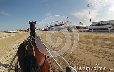 Horse harness race 066 Editorial Stock Photo