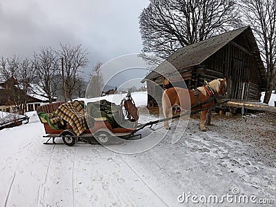 A horse harnessed to a sled Stock Photo