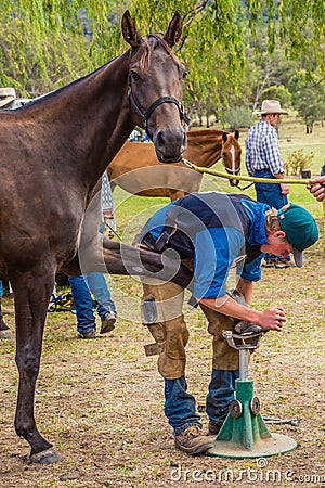 Murrurundi, NSW, Australia, February 24, 2018: Competitors in the King of the Ranges Horse Shoeing Competition Editorial Stock Photo