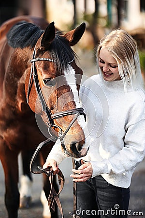 Horse head portraits with bridle and rider next to him. Stock Photo