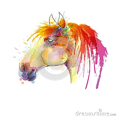 Horse head watercolor painting Vector Illustration