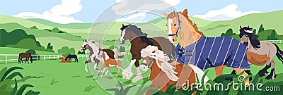 Horse herd at equine farm, ranch. Stallions group in nature, grassland, pasture. Thoroughbred animals grazing grass Vector Illustration