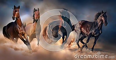 Horse herd run Stock Photo