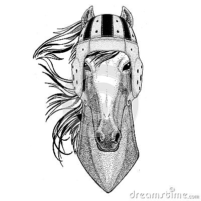 Horse, hoss, knight, steed, courser Wild animal wearing rugby helmet Sport illustration Vector Illustration