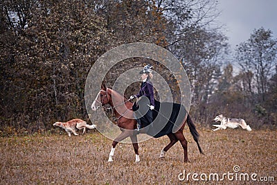 Horse-hunting with ladies in riding habit Editorial Stock Photo